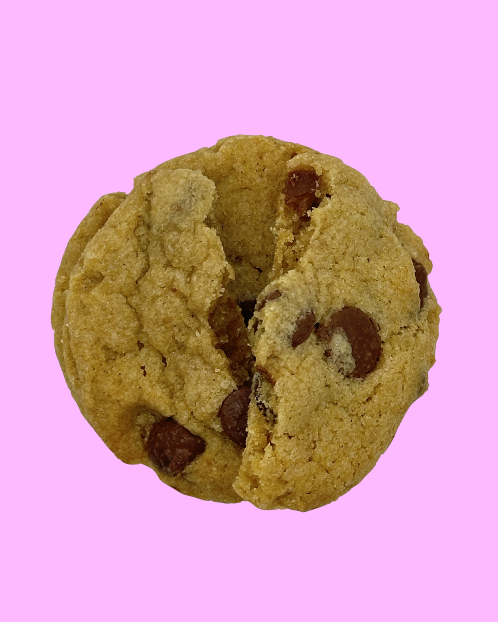 Chocolate Chip Cookie