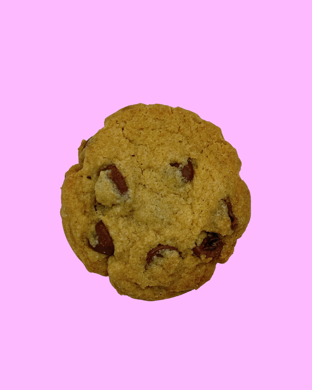 The Cookie Dozen
