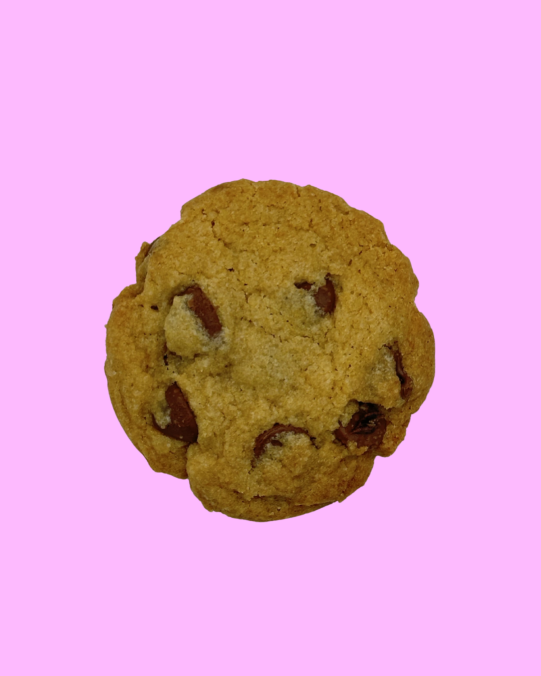 The Cookie Dozen